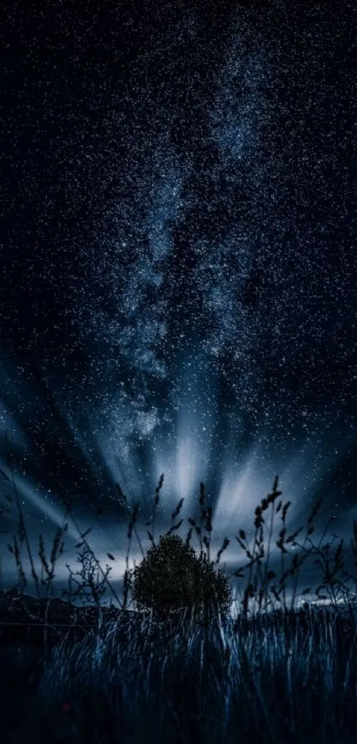 Starlit sky with galaxy and silhouette landscape in mobile wallpaper.