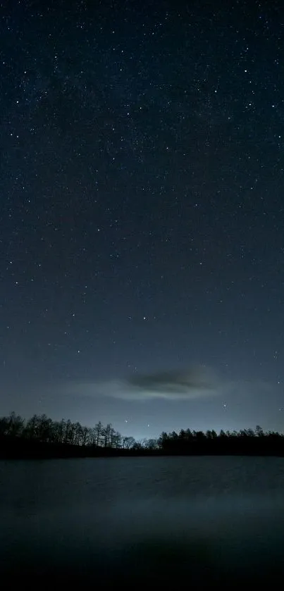 Starlit sky with silhouettes of trees at night.