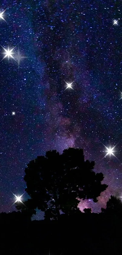 Starry night sky with tree silhouettes under a vibrant galaxy.