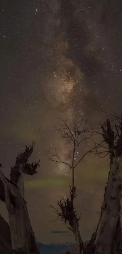 Silhouette of a tree under a starry night sky and Milky Way view.