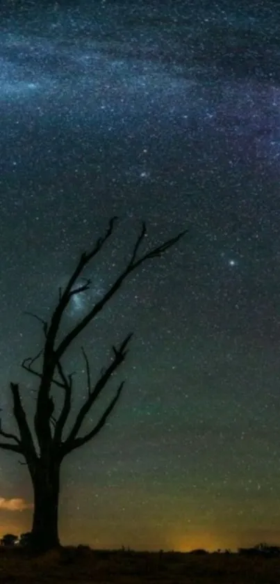 A lone tree under a vast starlit sky, creating a serene nighttime scene.