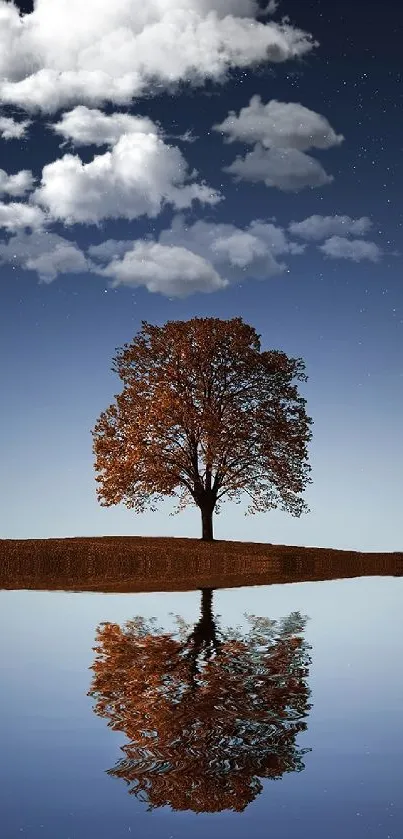 Lone tree reflected on a calm lake under a starry night sky.