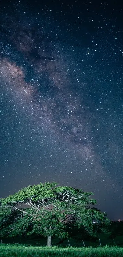 Lone tree beneath a vibrant starry night sky with Milky Way.