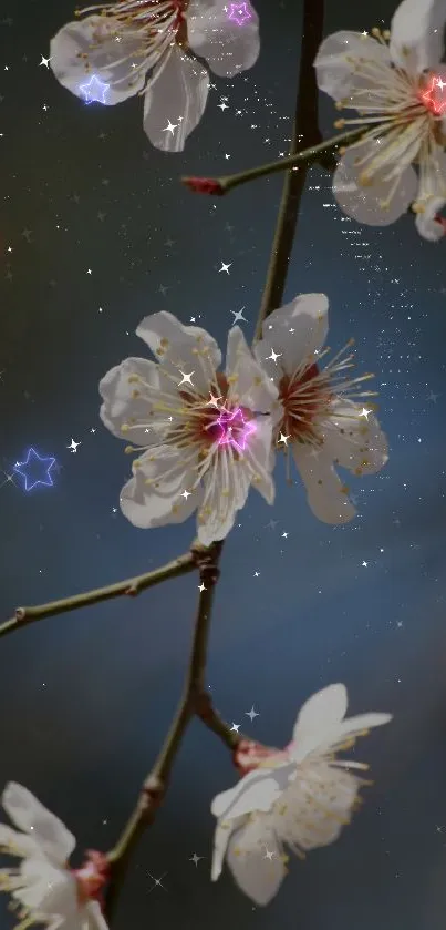 White blossoms with starry night background.