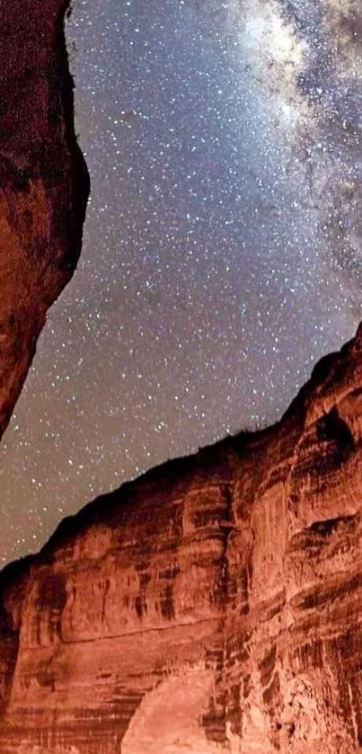 Starry night sky over rocky canyon landscape.