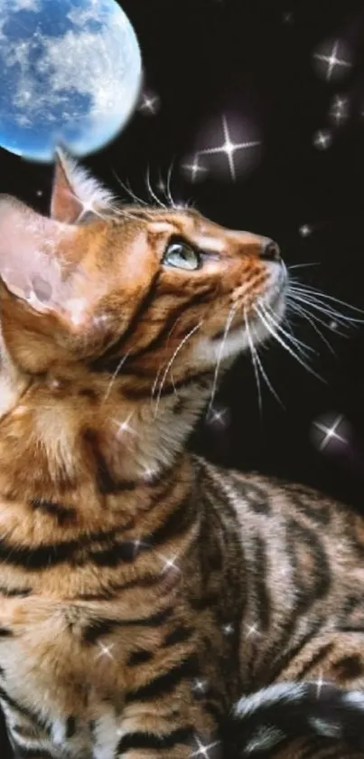 A cat gazes up at the moon with stars twinkling around against a dark sky.