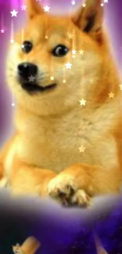 Doge amidst a whimsical starry purple fantasy background.