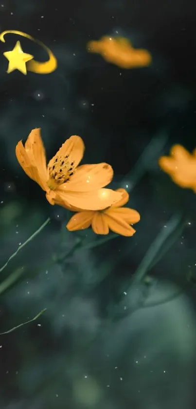 Mobile wallpaper of glowing orange flowers and starry night background.