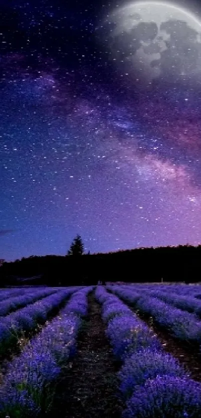 Lavender field under starry sky with moon glowing above.