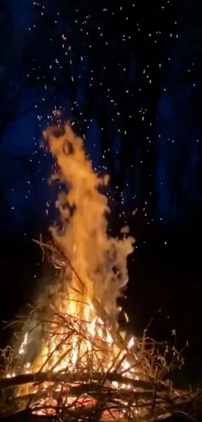 Warm campfire under a dark, starry sky in the forest.