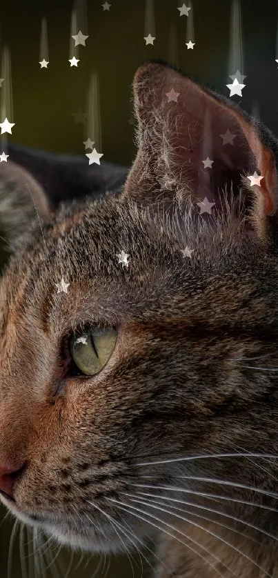 Starry cat wallpaper with night sky theme.