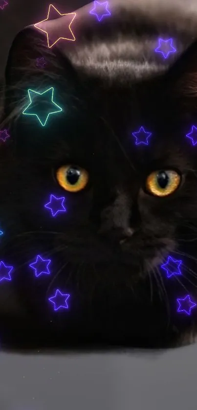 Black cat with glowing neon stars on a dark mobile wallpaper.