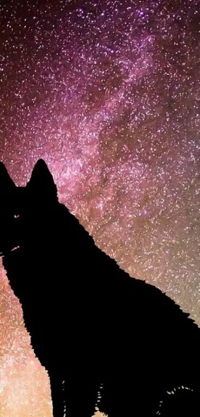 Silhouette of a dog against a starry galaxy backdrop.