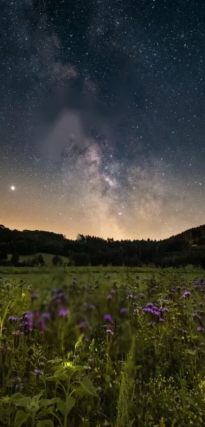 Serene night sky over lush field, perfect as a calming phone wallpaper.