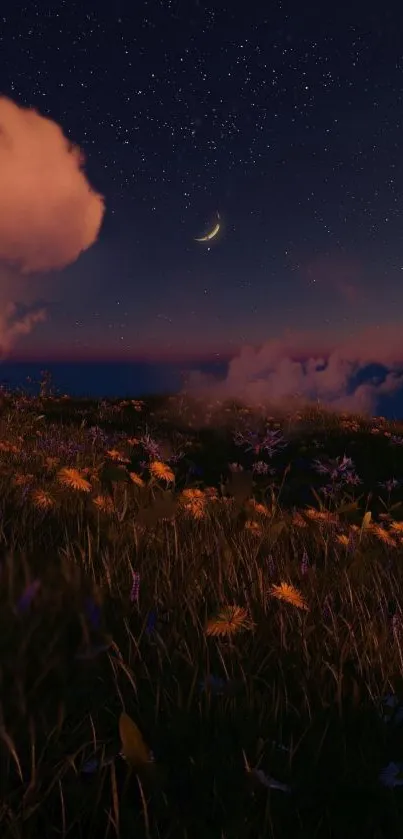 Starry night sky with crescent moon and tranquil field.