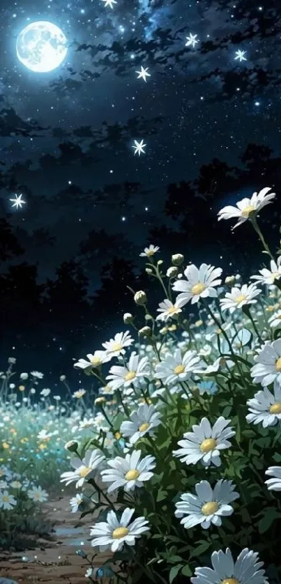 Daisies blooming under a starry night sky with a glowing moon.