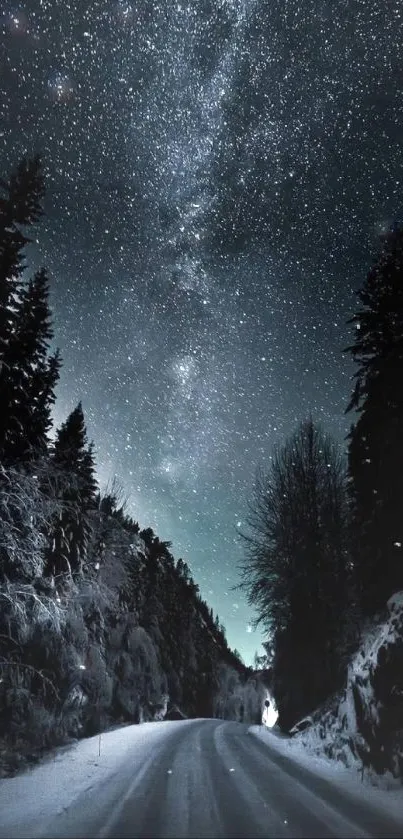 Starry night sky over a snowy forest road wallpaper.