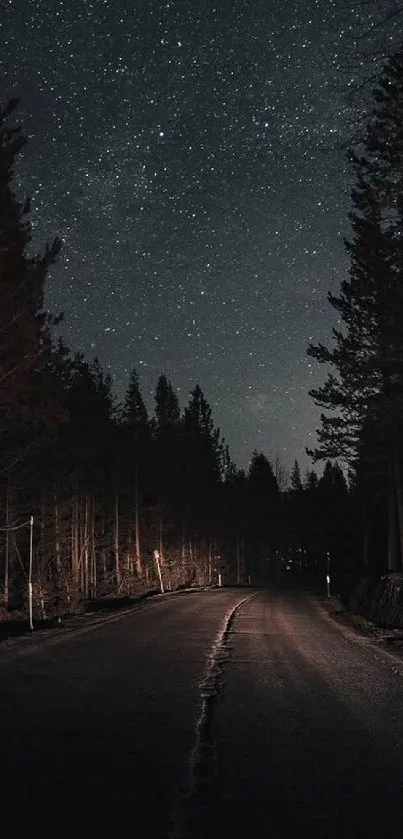 Starry night sky over a quiet forest road wallpaper.