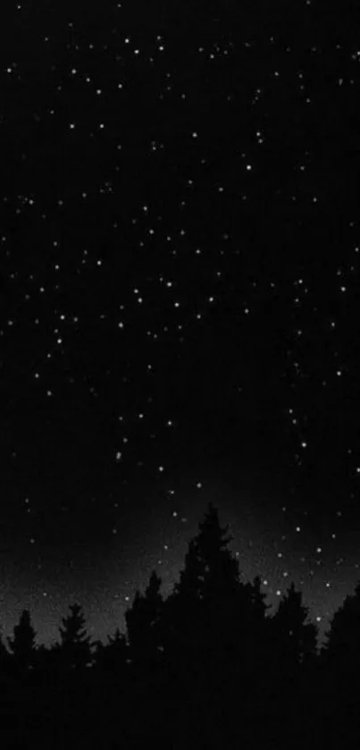 Starry night sky with forest silhouette in black and white theme.