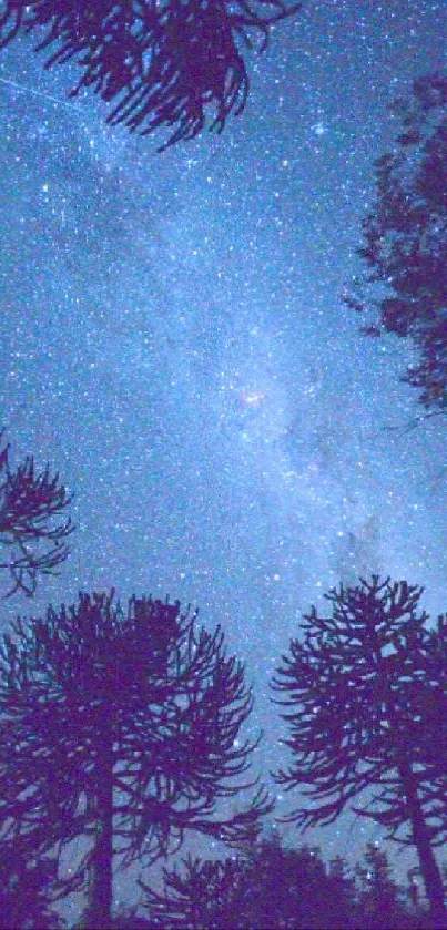 Starry night sky with silhouetted forest trees under a midnight blue hue.