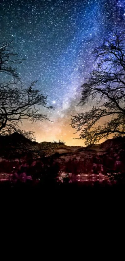 Starry night sky with silhouetted trees.