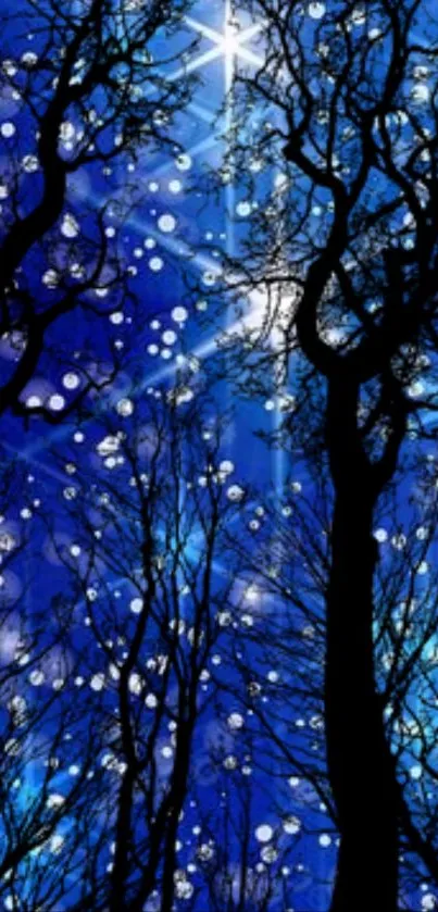 Silhouetted trees under a starry blue night sky with shining stars.