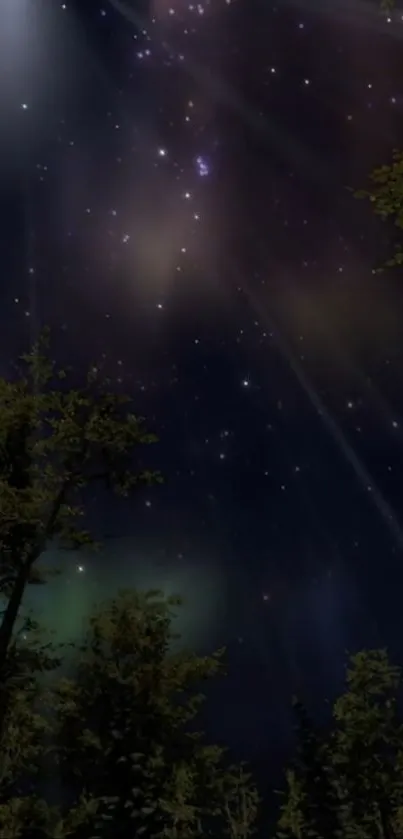 Starry night sky over a dark forest with scattered stars and lush trees.