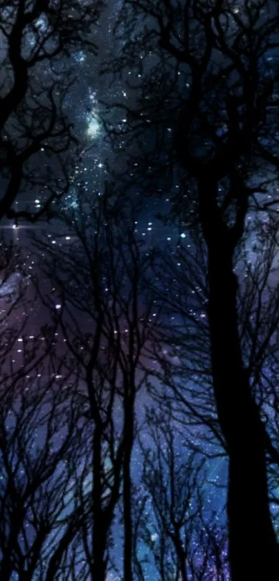 Starry night sky above dark forest silhouette with deep blue and purple hues.