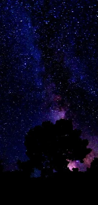 Starry night sky with Milky Way visible.