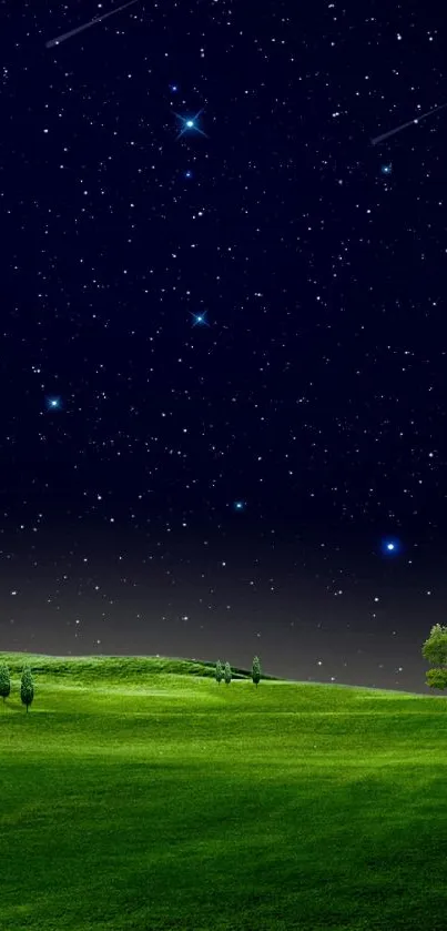 A serene starry night landscape with green fields.