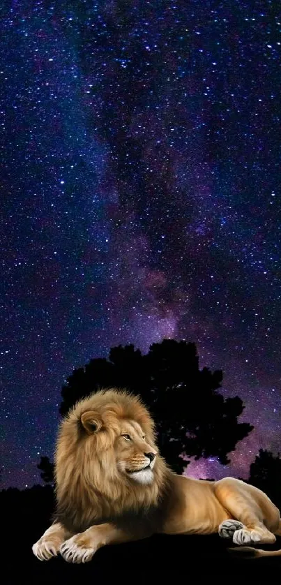 Lion under a starry galaxy night sky wallpaper for mobile.