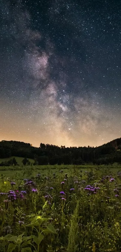 Starry night sky over meadow with purple flowers and distant hills.