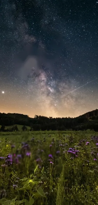 A starry night sky over a meadow with purple flowers.