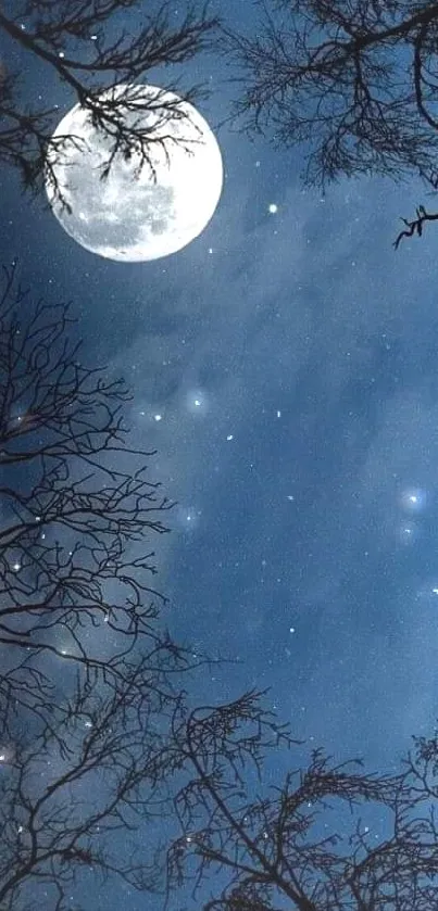 Moonlit night sky with stars and branches.