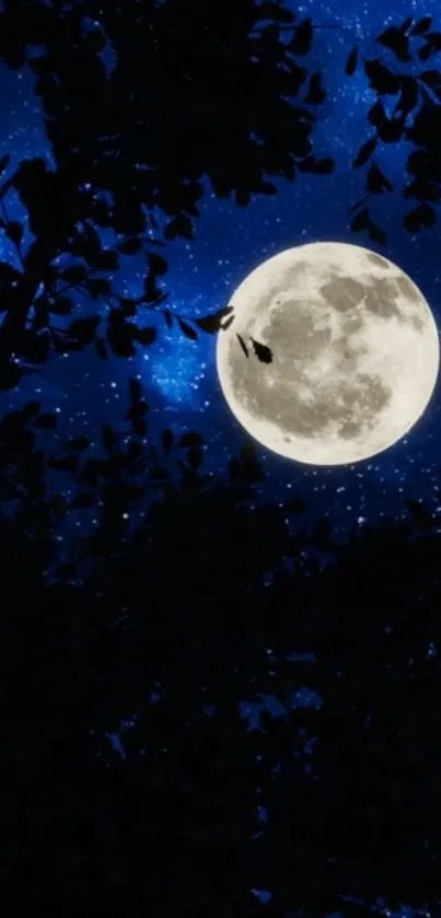 A bright full moon glowing in a starry night sky, framed by silhouetted tree branches.