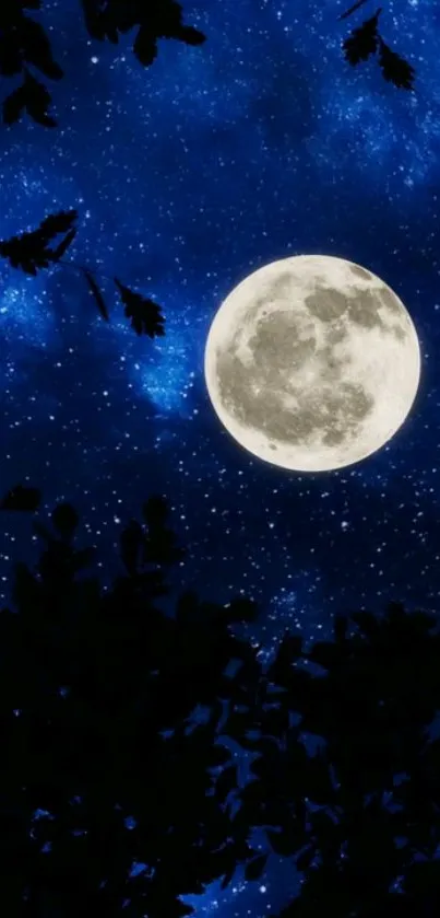 Full moon illuminating a starry night sky with dark tree silhouettes.