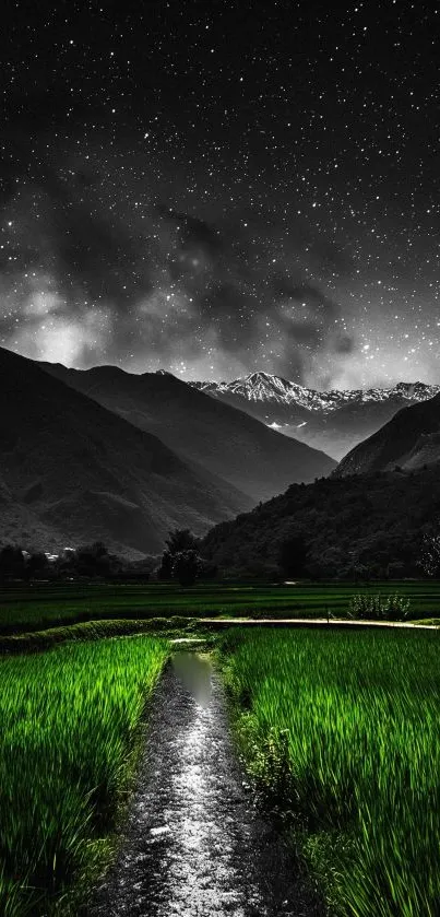 Green fields under starry night sky with mountain view.