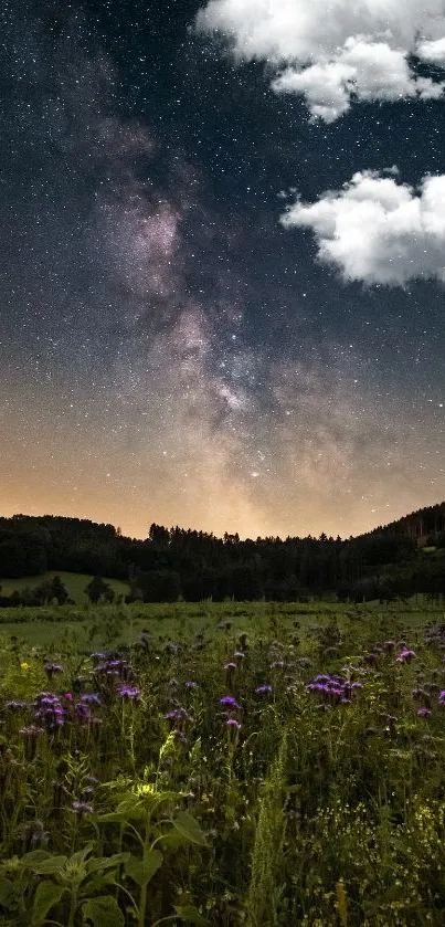 Starry night sky over a flower-filled field in a serene landscape.