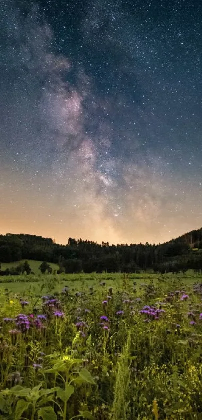 Starry night sky over a colorful floral field, perfect for mobile wallpaper.