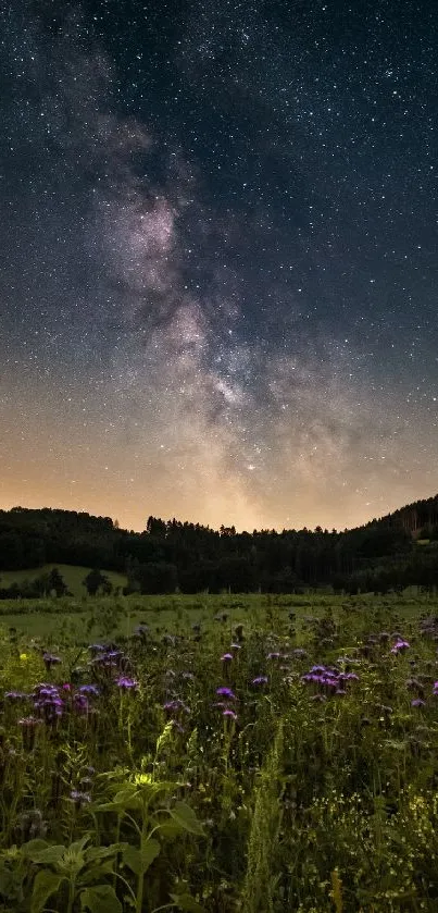 Starry night sky over a meadow with flowers and a glowing horizon.