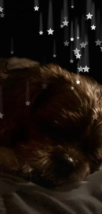 Sleeping puppy with starry night effect.