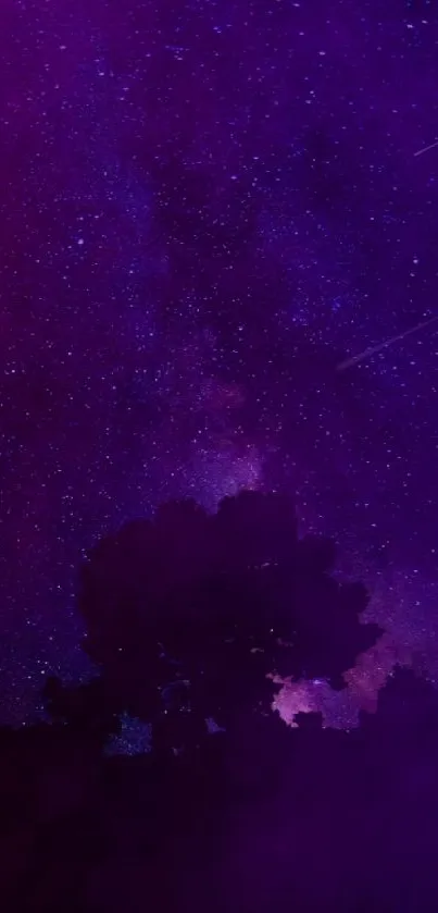 Starry night sky with a purple hue and silhouette of a tree.