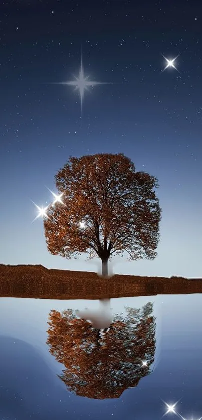 Starry night sky with tree and reflection on water.