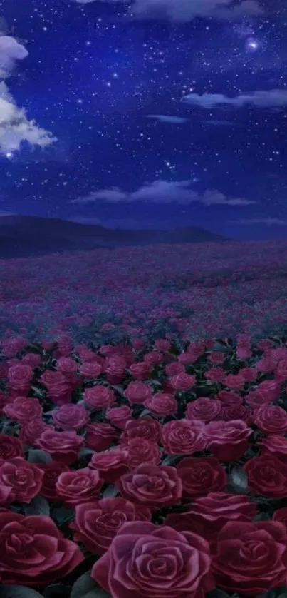 A field of roses under a starry night sky wallpaper.