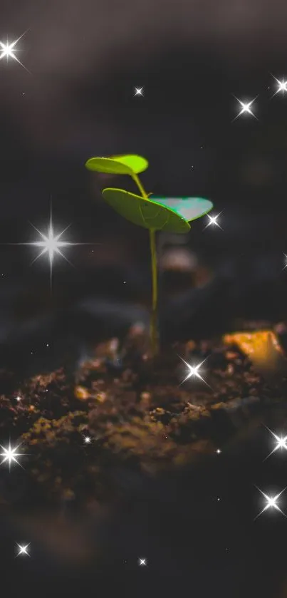 A young green seedling surrounded by stars on a dark earthy background.