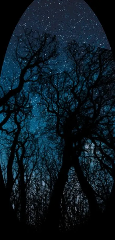 Silhouette of trees beneath a starry night sky.