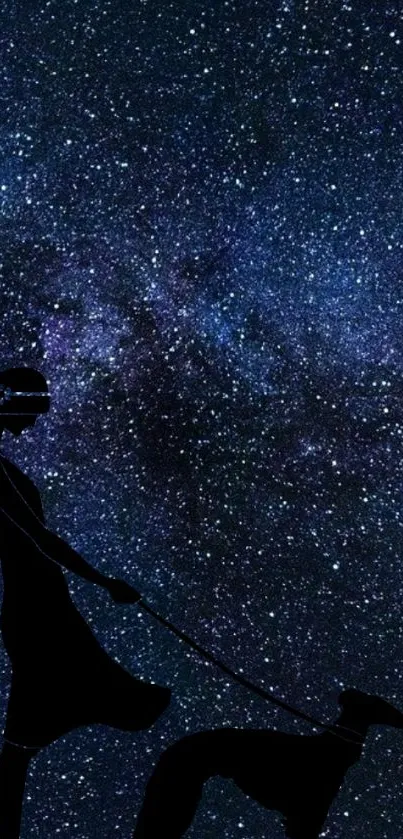 Silhouette of woman and dog against starry night sky.