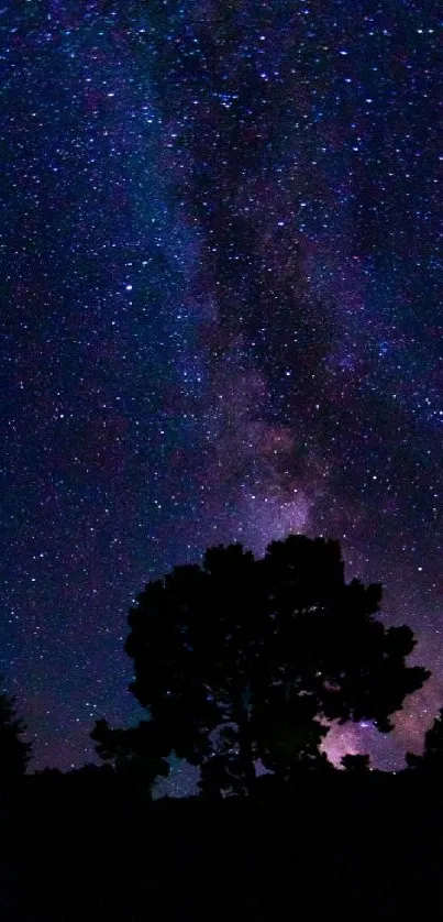 Starry night sky with tree silhouettes and a galaxy backdrop.