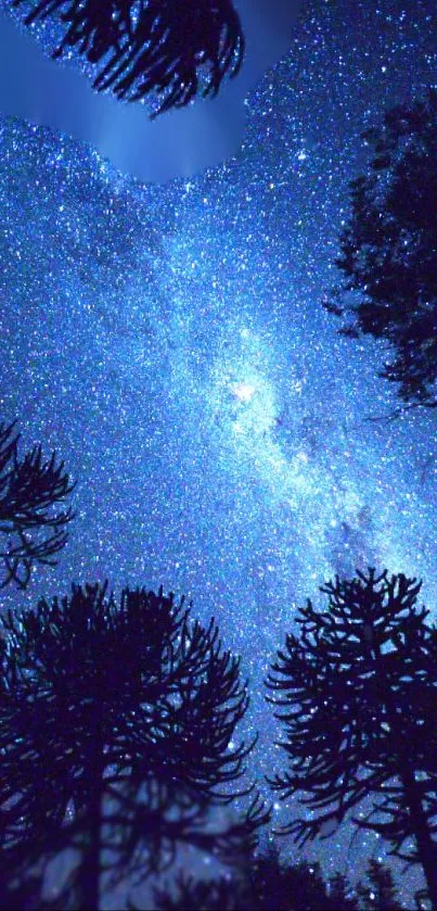 Starry night sky over silhouetted forest.