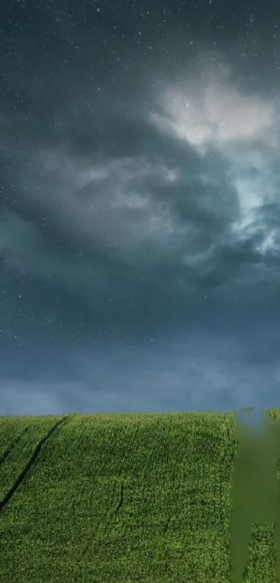 Starry night sky above a lush green field.